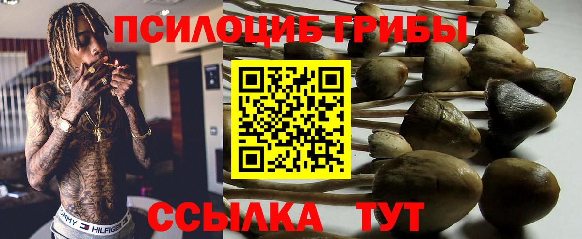 Новочебоксарск  Псилоцибиновые грибы Psilocybe  Галлюциногенные грибы GOLDEN TEACHER  Вход с VPN 